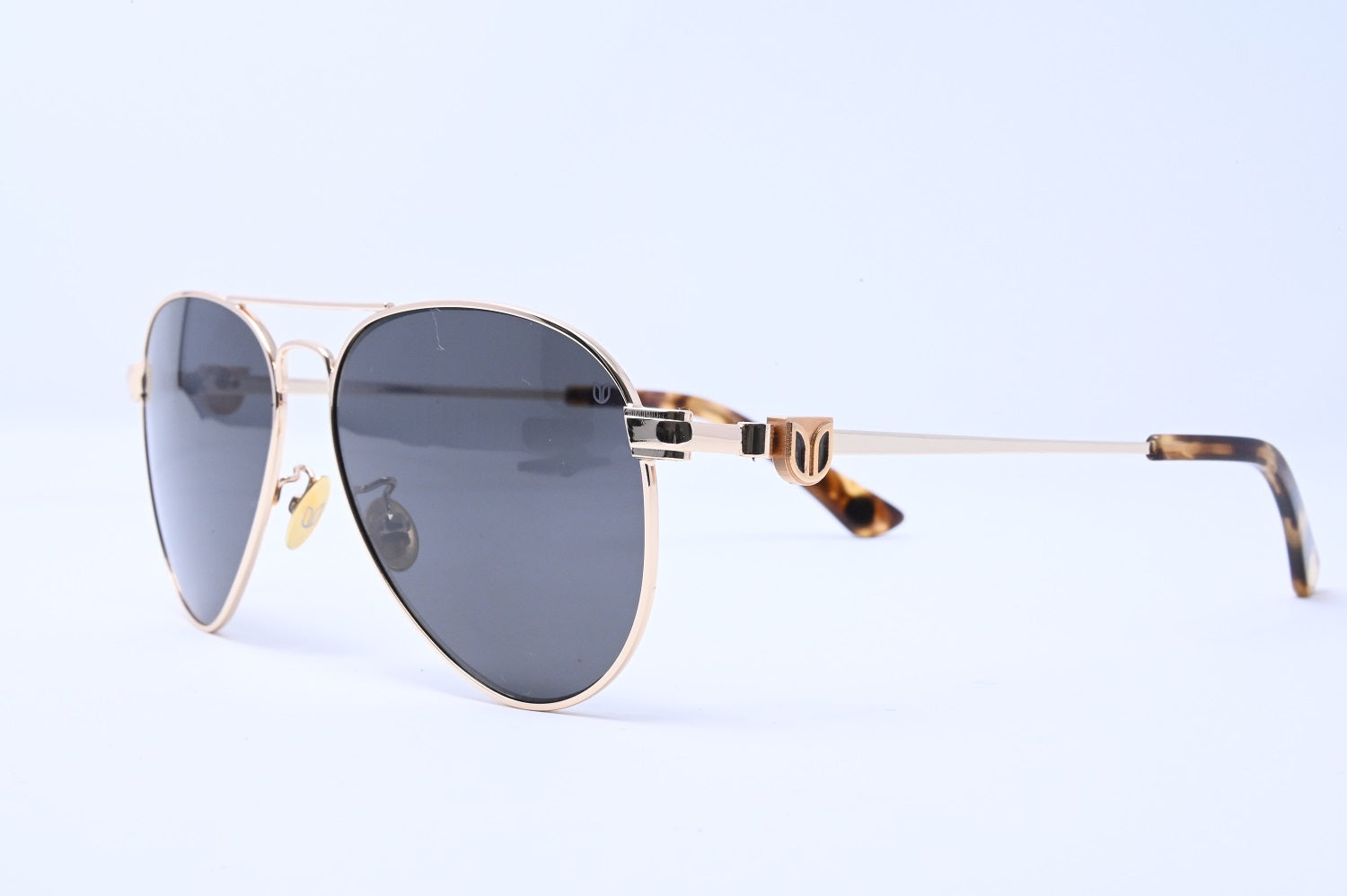 THE BRANDO ORIGIN (KEEPSAKE) - GOLD FRAMES