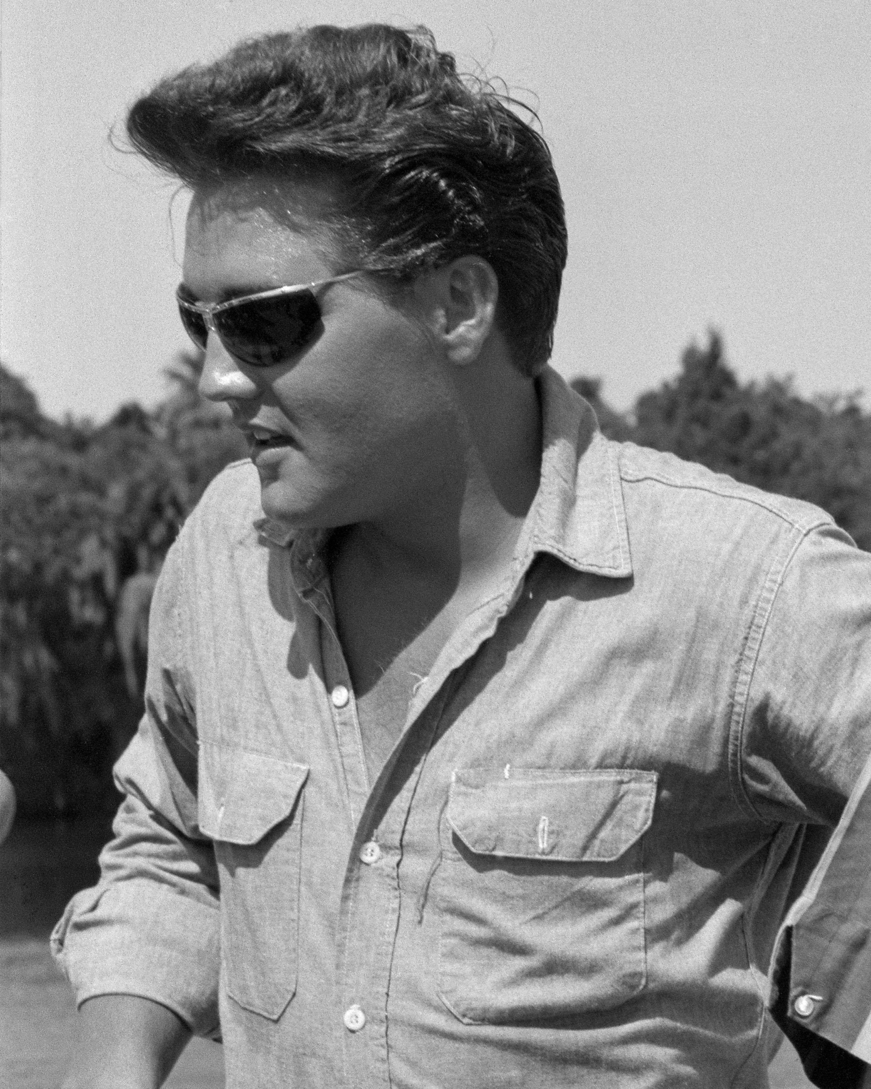 The Elvis Vegas - Cool Grey